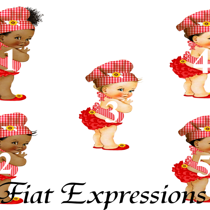 RPChefRedGingham-SUNFLOWER 5 SET