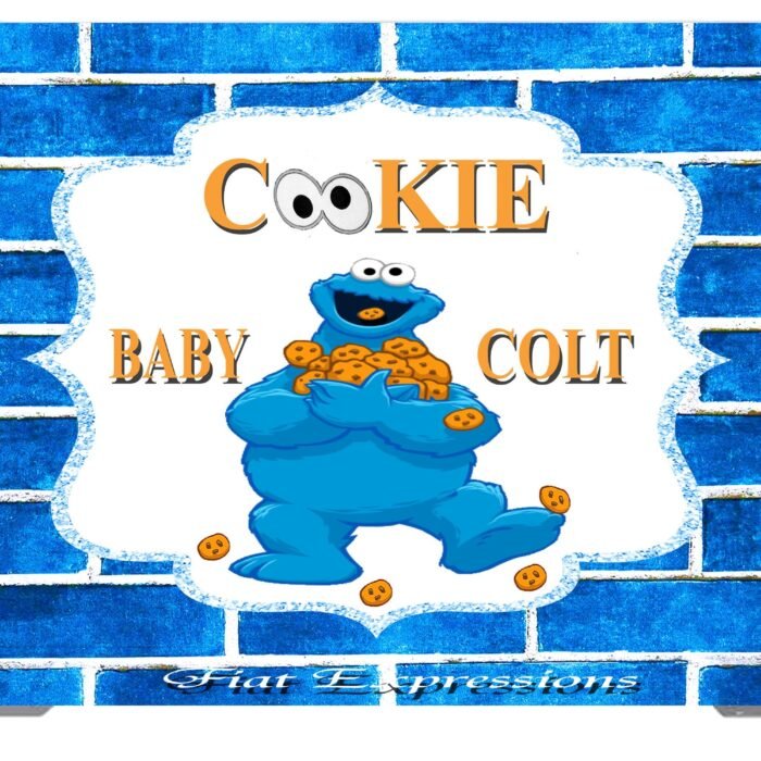 Cookie Monster Themed Baby Shower Backdrop