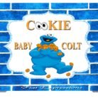 Cookie Monster Themed Baby Shower Backdrop