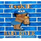 Cookie Monster Themed Baby Shower Backdrop with Bag