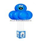 Cookie Monster Themed Baby Shower Balloon Bouquet Bottle Frame