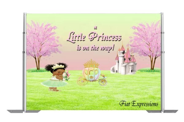Princess Baby Shower Poster Backdrop Digital File, Princess with Carriage and Castle Backdrop, Princess Tiana Themed Backdrop,