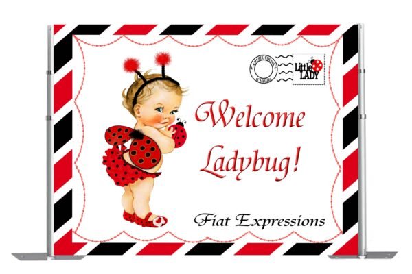 Ladybug Envelope Baby Shower Poster Backdrop Digital File