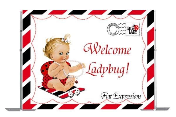 Ladybug Envelope Red & Black Baby Shower Poster Backdrop Digital File