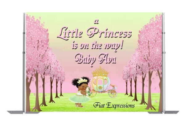 Princess with Frog Baby Shower Poster Backdrop Digital File, Princess and Carriage Backdrop, Princess Tiana Themed Backdrop,