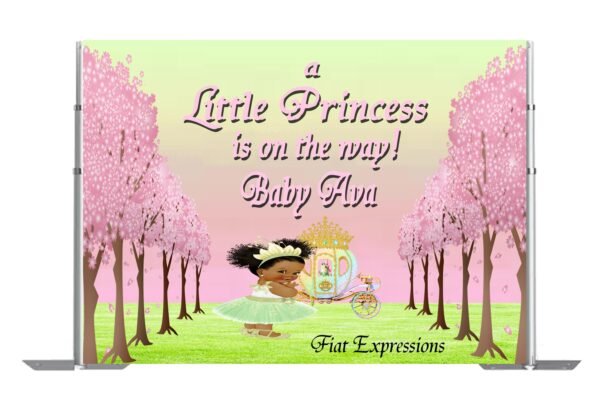 Princess & Carriage Baby Shower Poster Backdrop Digital File, Princess Tiana Themed Backdrop,