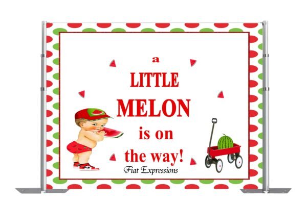 Watermelon Baby Shower Poster Backdrop Digital File