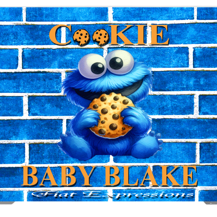 Cookie Monster Themed Baby Shower Backdrop BOY